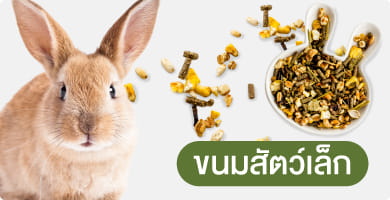 อาหารสัตว์เล็ก
